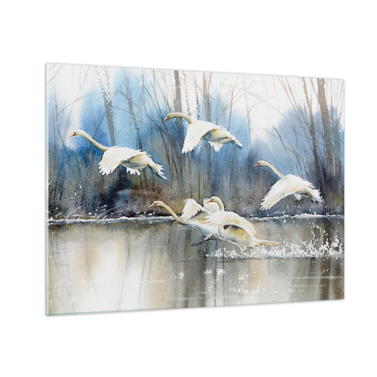 Billede på glas - Vilde svaner flyver over en fredelig skovsø - 70x50cm - Som i en fortælling om vilde svaner - Moderne vægdekoration til stue og soveværelse ARTTOR