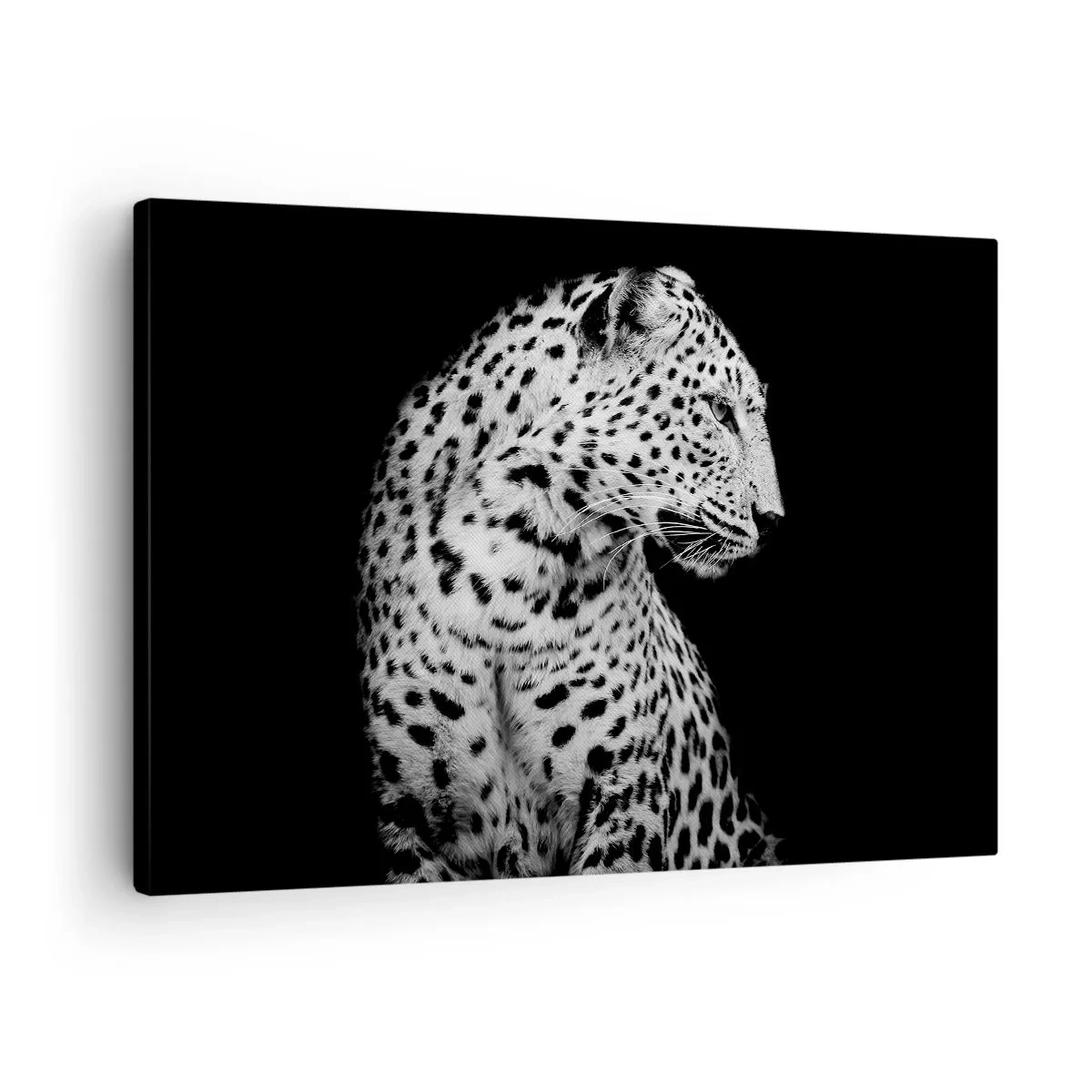 Lærredstryk - Billede på lærred - Sort-hvidt billede af en leopard på en sort baggrund - 70x50cm - Den rigtige profil er perfekt! - Moderne vægdekoration til stue og soveværelse ARTTOR
