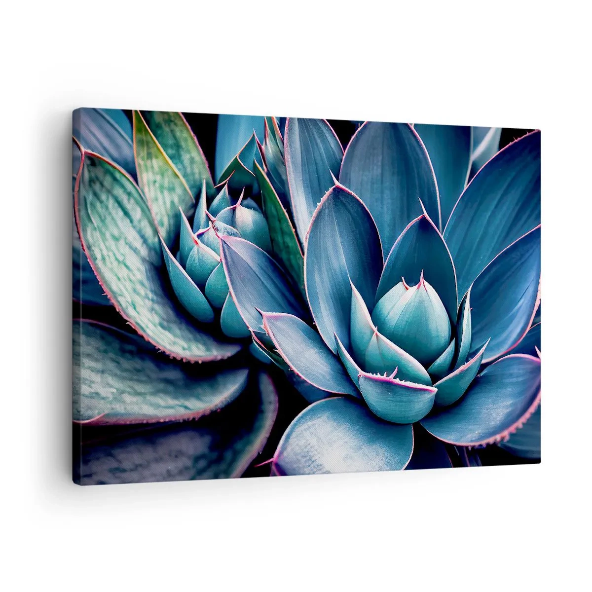 Lærredstryk - Billede på lærred - Agave i nuancer af blå og grøn med lyserøde accenter - 70x50cm - Vital kraft - Moderne vægdekoration til stue og soveværelse ARTTOR