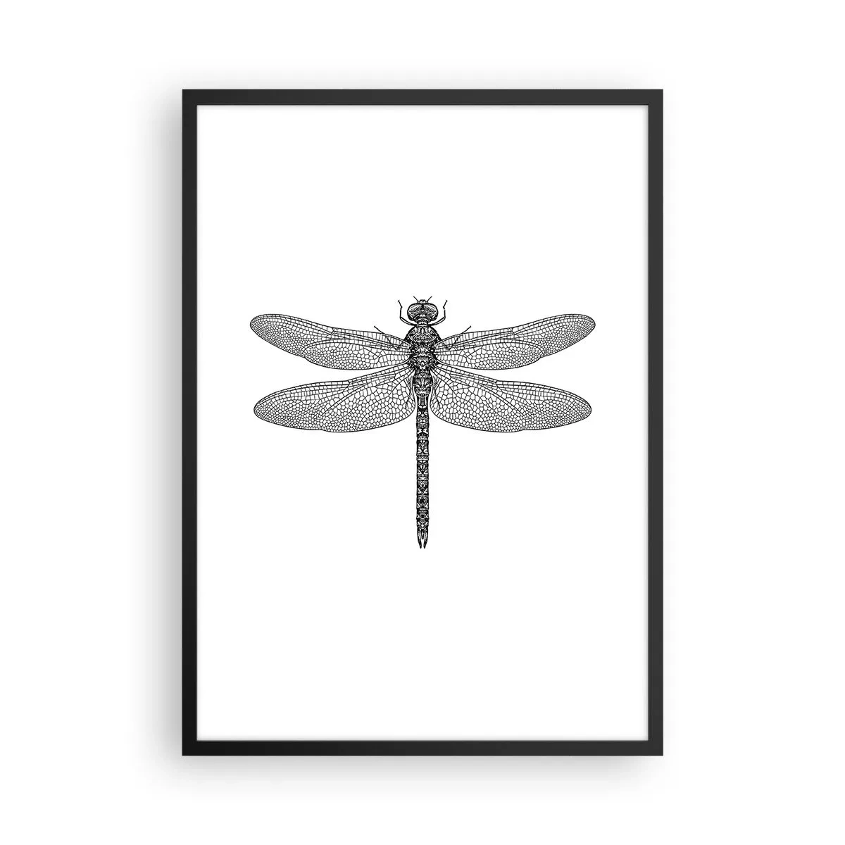 Plakat i sort ramme - Sort-hvid illustration af en guldsmed på en hvid baggrund - 50x70cm - Præcision i naturen - Moderne vægdekoration til stue og soveværelse ARTTOR