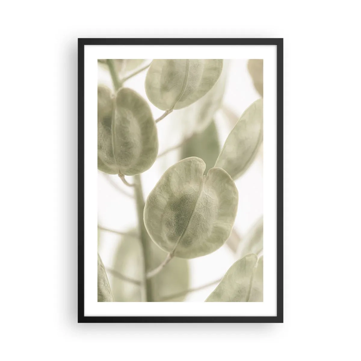 Plakat i sort ramme - Nærbillede af grønne blade i naturligt lys - 50x70cm - I begyndelsen var der blade... - Moderne vægdekoration til stue og soveværelse ARTTOR