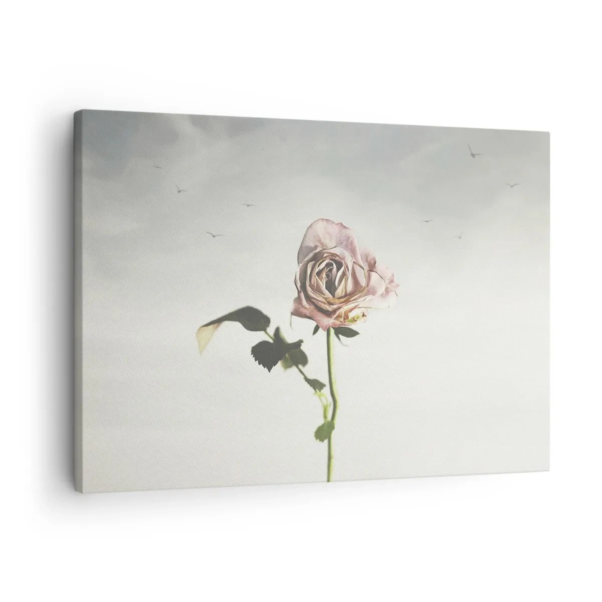Lærredstryk - Billede på lærred - En sart rose mod en lys himmel med flyvende fugle - 70x50cm - Velkomst til foråret - Moderne vægdekoration til stue og soveværelse ARTTOR