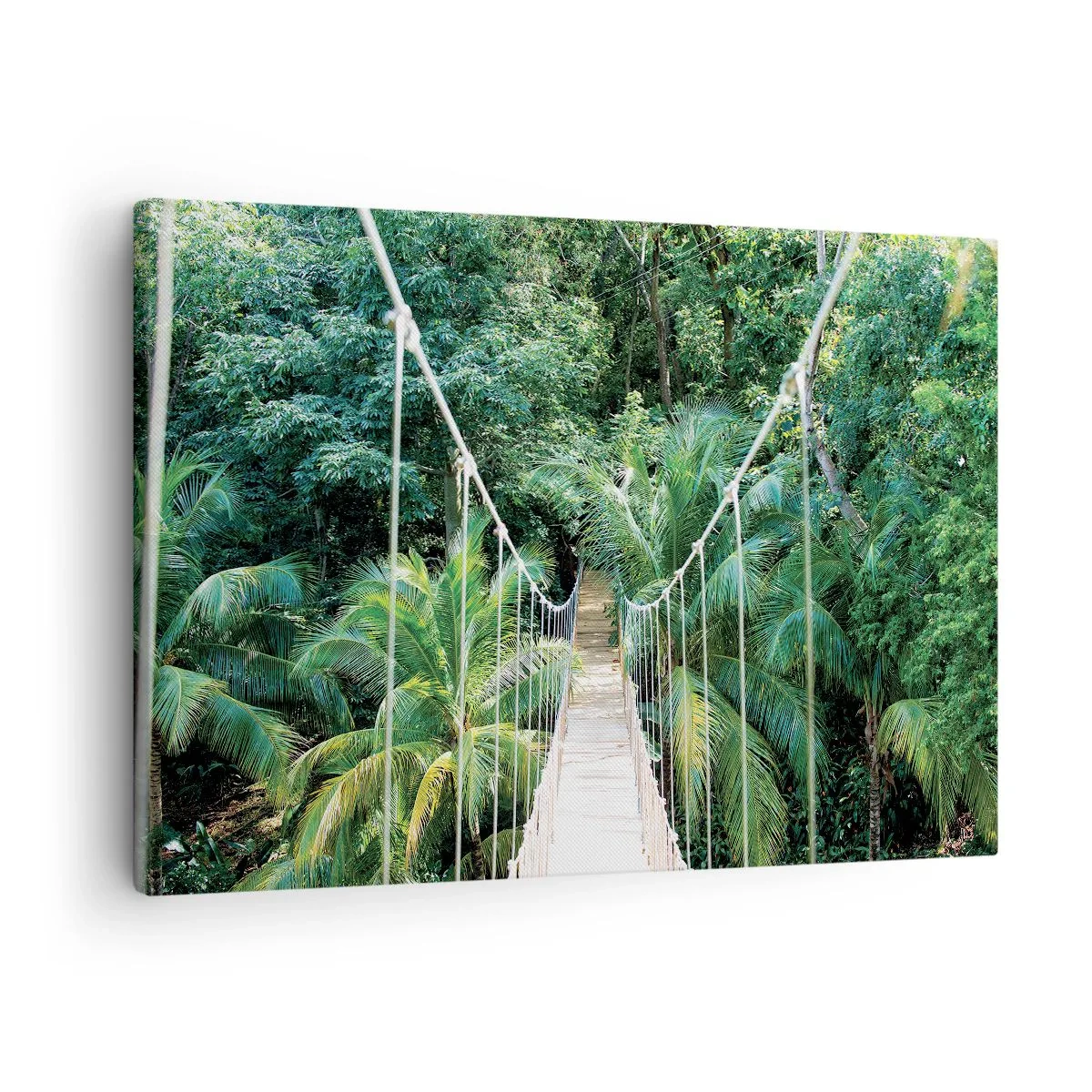 Lærredstryk - Billede på lærred - En hængebro i en tropisk jungle fuld af grønt - 70x50cm - Velkommen til junglen! - Moderne vægdekoration til stue og soveværelse ARTTOR