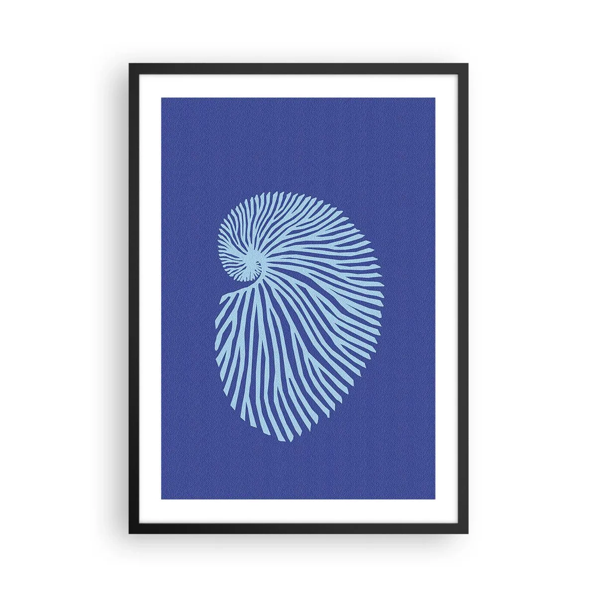 Plakat i sort ramme - Stiliseret skalgrafik i et spiralarrangement - 50x70cm - Fødsel af en skal - Moderne vægdekoration til stue og soveværelse ARTTOR