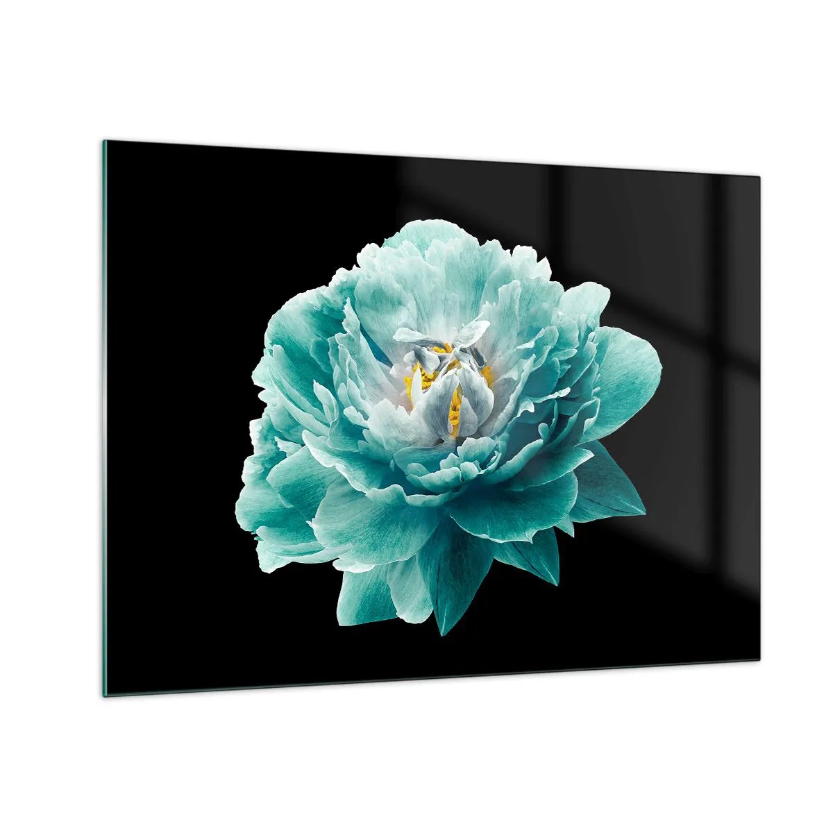 Billede på glas - En turkis blomst med en gul midte på en sort baggrund i en glamourøs stil. - 70x50cm - Blå og gyldne kronblade - Moderne vægdekoration til stue og soveværelse ARTTOR
