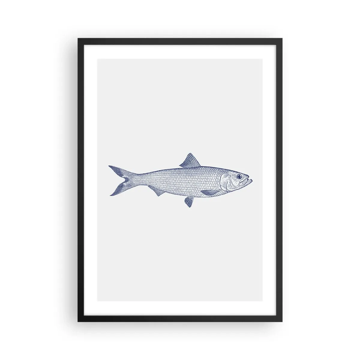 Plakat i sort ramme - Minimalistisk vintage fiskillustration - 50x70cm - Hilsner fra de nordlige have - Moderne vægdekoration til stue og soveværelse ARTTOR