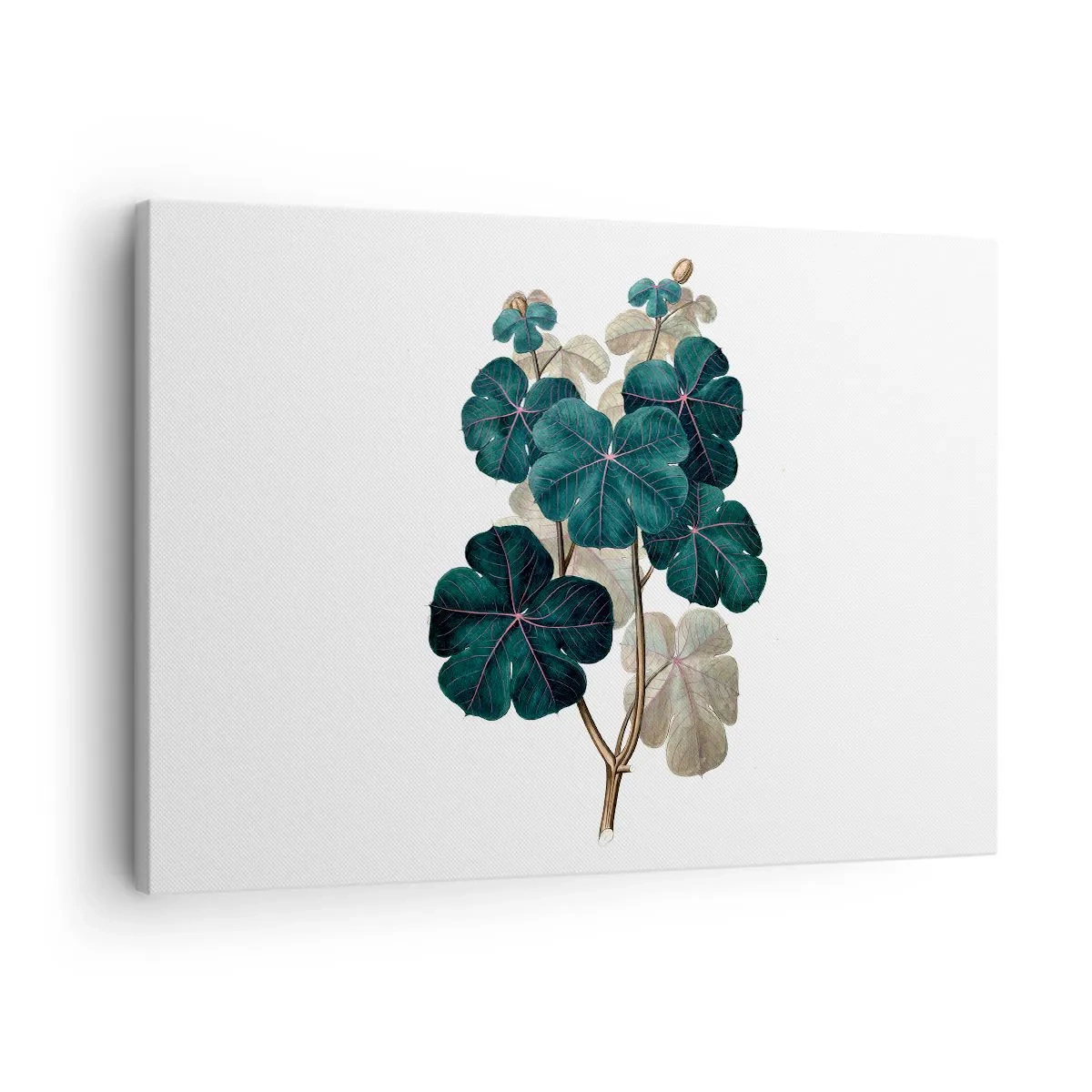 Lærredstryk - Billede på lærred - Botanisk illustration med blade i grønne og beige nuancer - 70x50cm - Fra et gammelt herbarium - Moderne vægdekoration til stue og soveværelse ARTTOR