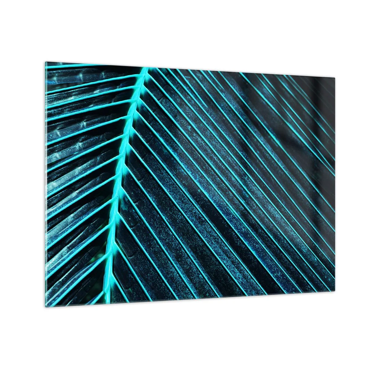 Billede på glas - Makrofotografi af et palmeblad i turkise nuancer - 70x50cm - Tekstur af grønt - Moderne vægdekoration til stue og soveværelse ARTTOR