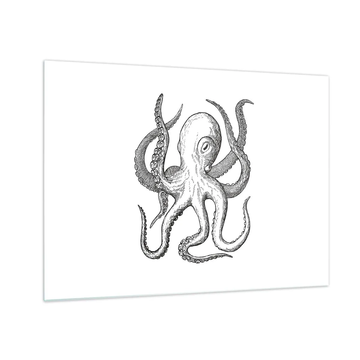 Billede på glas - Sort-hvid tegning af en blæksprutte på en hvid baggrund - 70x50cm - Dans med bølger - Moderne vægdekoration til stue og soveværelse ARTTOR