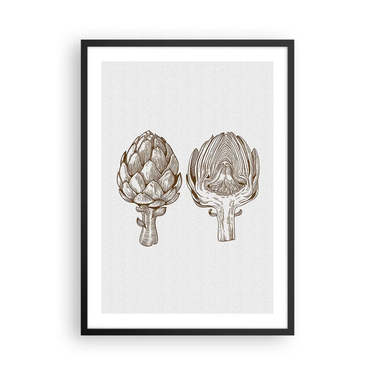 Plakat i sort ramme - Vintage illustration af to artiskokker - 50x70cm - Lektion i anatomi - Moderne vægdekoration til stue og soveværelse ARTTOR
