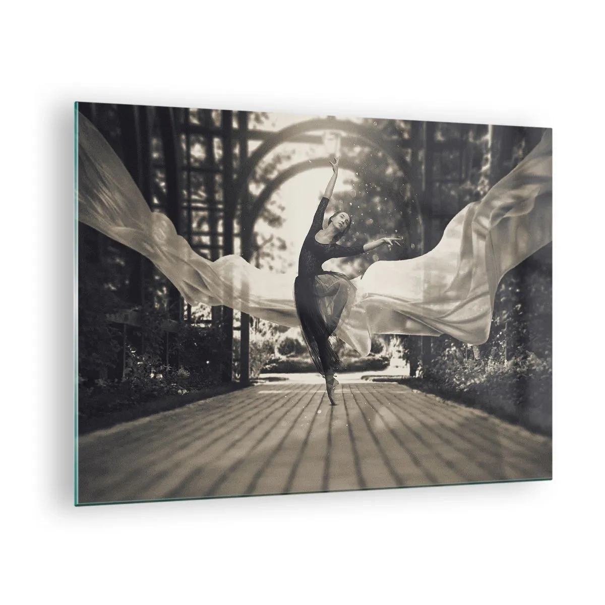 Billede på glas - En danser i bevægelse mod en havebaggrund i sort-hvid. - 70x50cm - Dans i haven - Moderne vægdekoration til stue og soveværelse ARTTOR
