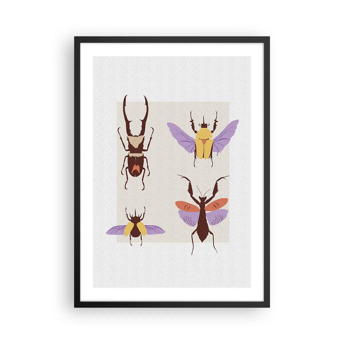 Plakat i sort ramme - Farverige biller på en lys baggrund - 50x70cm - Insekternes verden - Moderne vægdekoration til stue og soveværelse ARTTOR
