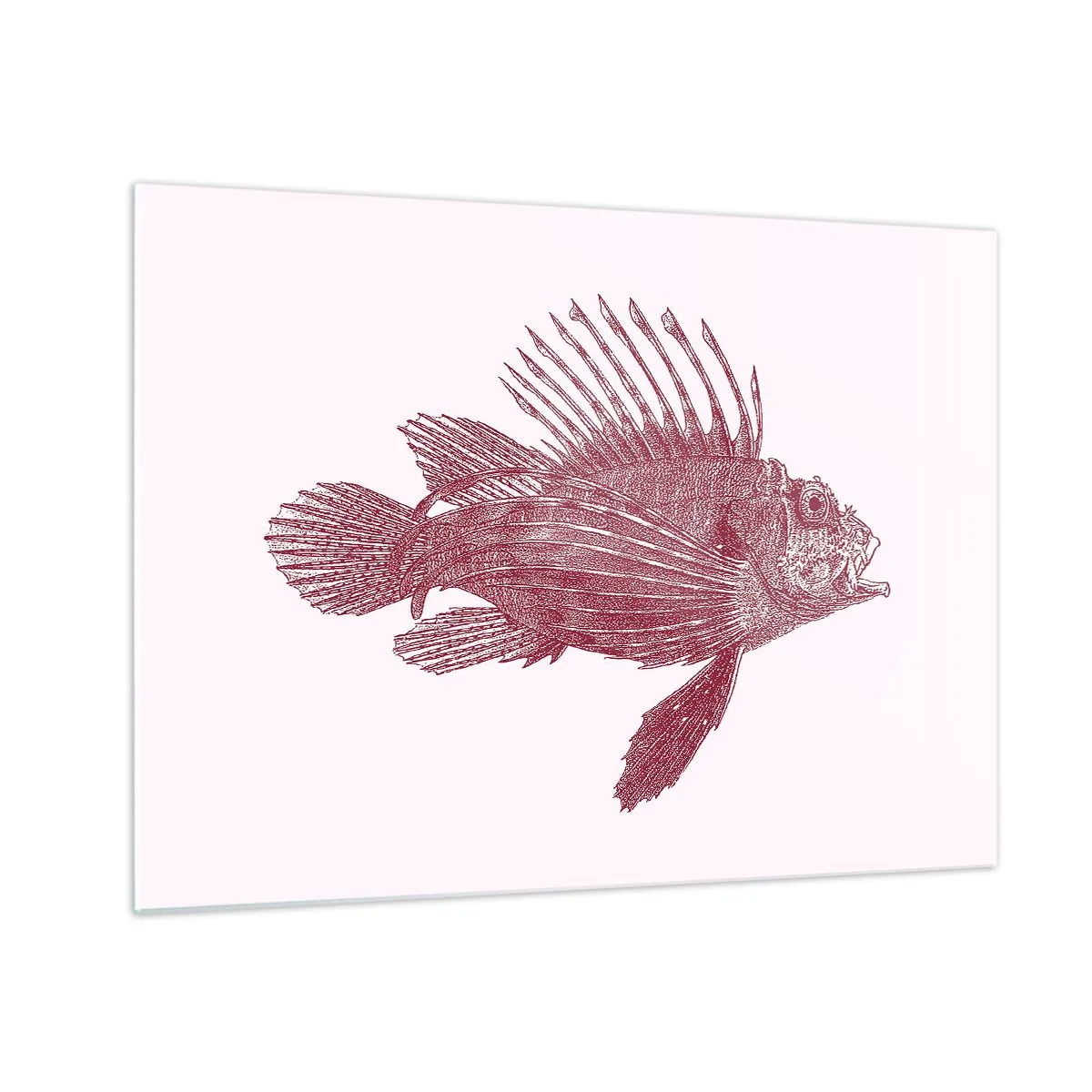 Billede på glas - Skitse af en eksotisk fisk i bordeauxrød farve på en lys baggrund - 70x50cm - En beboer i eksotiske farvande - Moderne vægdekoration til stue og soveværelse ARTTOR
