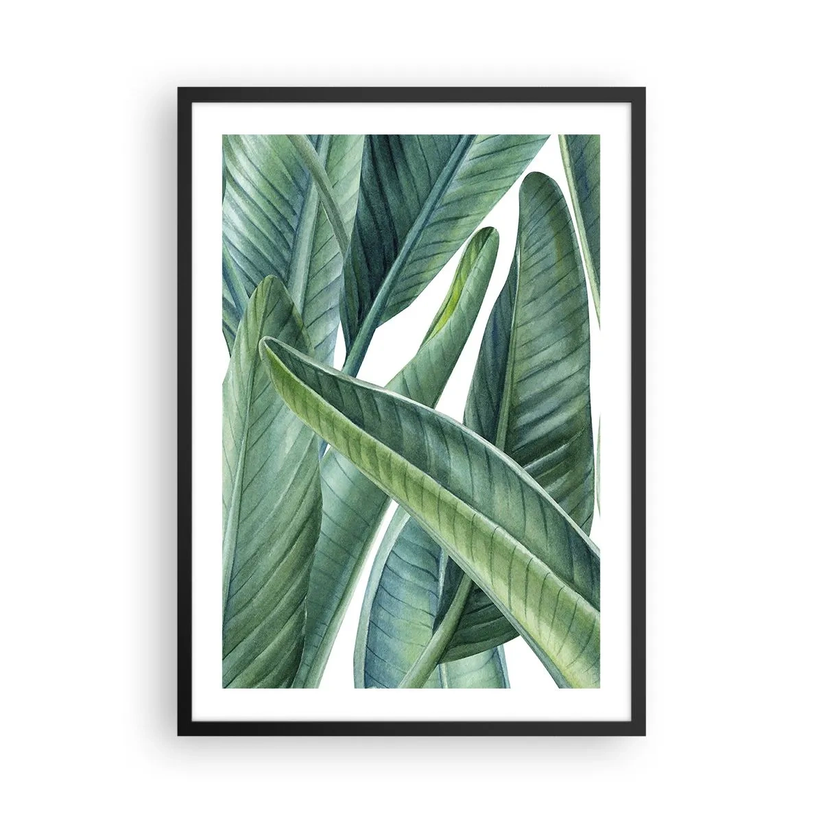Plakat i sort ramme - Grønne bananblade i akvarelstil - 50x70cm - Det grønne i sig selv - Moderne vægdekoration til stue og soveværelse ARTTOR