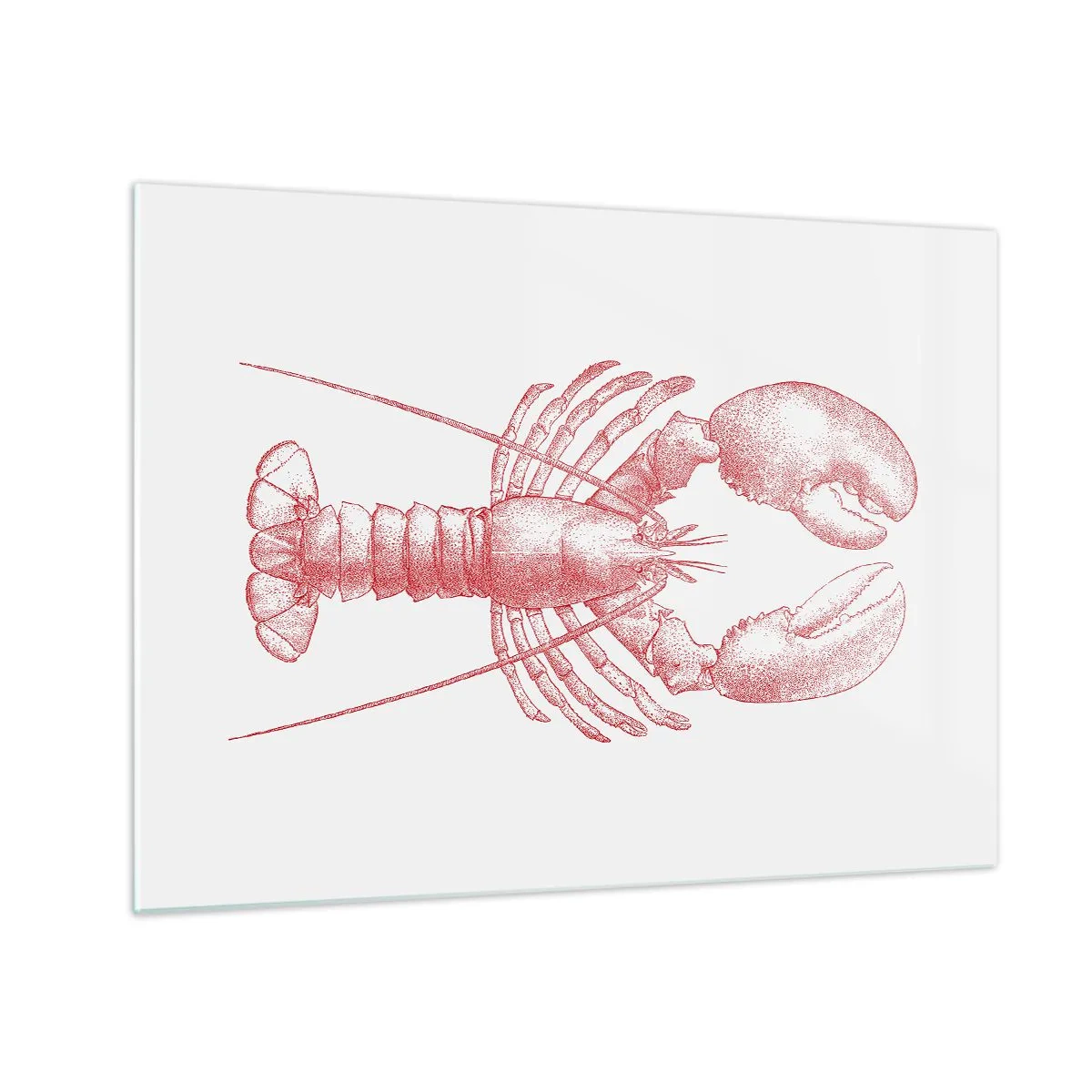 Billede på glas - Skitse af en hummer i rødt på en lys baggrund - 70x50cm - Hummer, der er Homer værdig - Moderne vægdekoration til stue og soveværelse ARTTOR